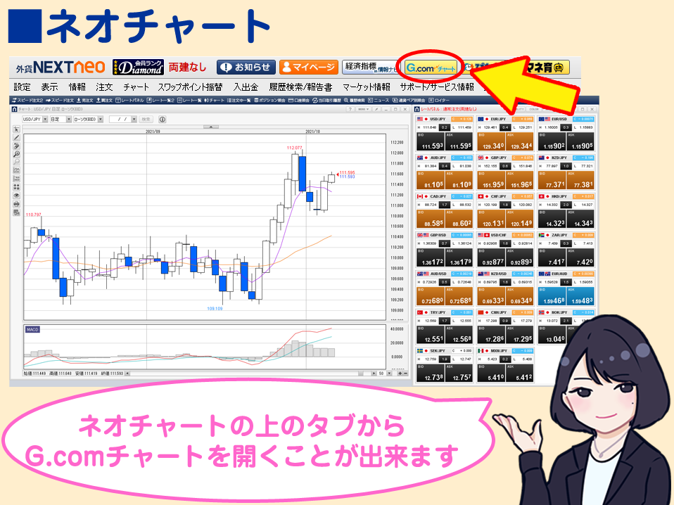 f:id:gaitamesk:20211008172720p:plain