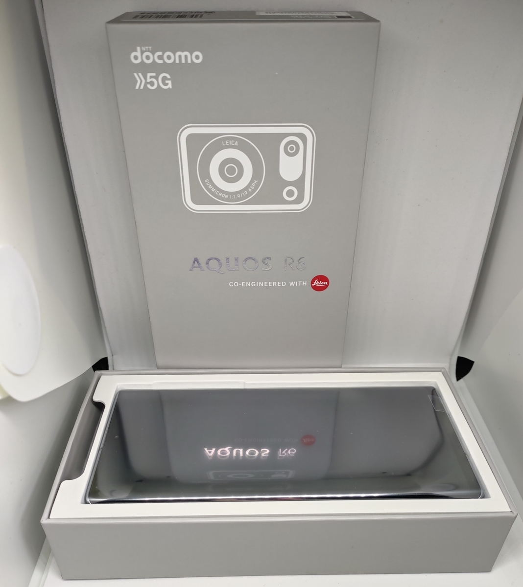 f:id:gajemuya:20210716052238j:plain