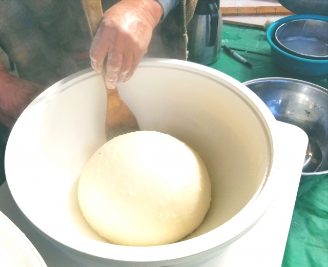 お家で餅つきができる 道具がなくてもなんとかなるお手軽な代用品とは 毎日がはてな日和