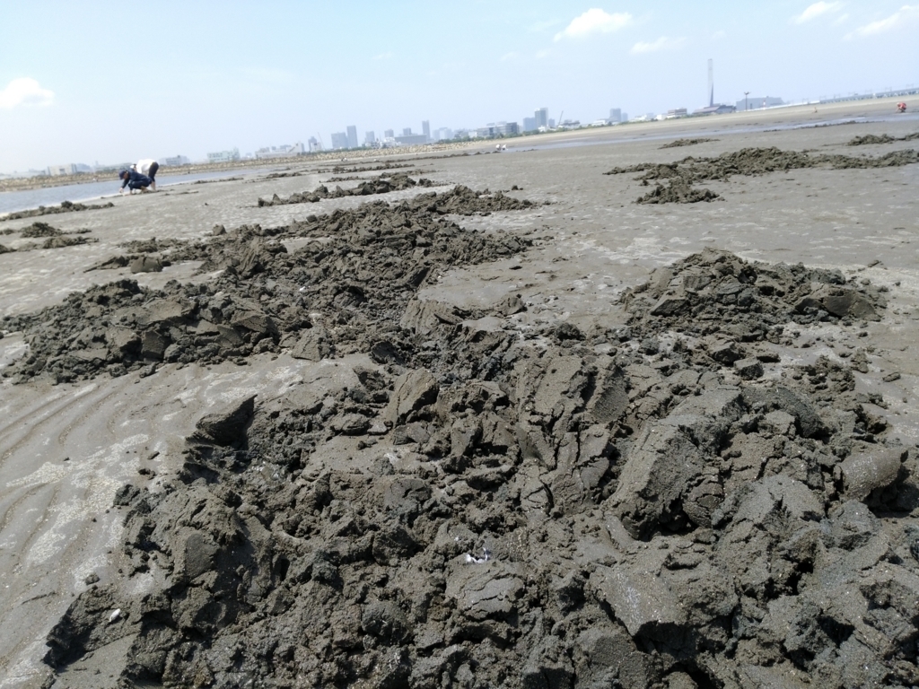 f:id:gajigajichang:20190318170413j:plain