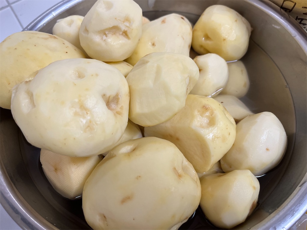 f:id:gajumaru415:20220618131036j:image