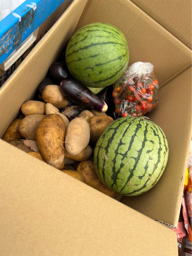 f:id:gajumaru415:20220809140801j:image