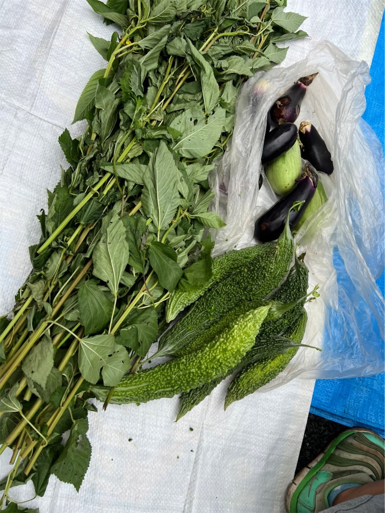 f:id:gajumaru415:20220902232055j:image