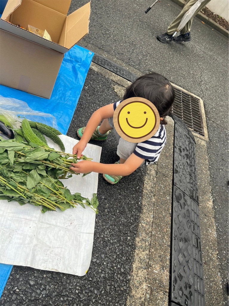 f:id:gajumaru415:20220902233111j:image