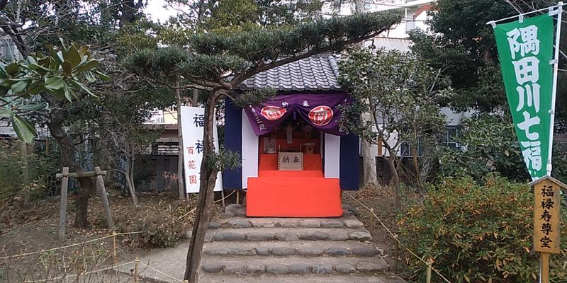 f:id:gajuwo:20190118213825j:plain