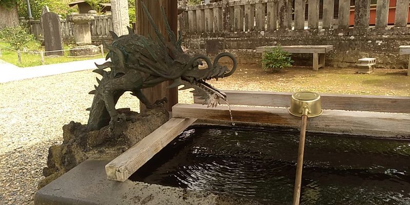 f:id:gajuwo:20190503231904j:plain f:id:gajuwo:20190503231904j:plain