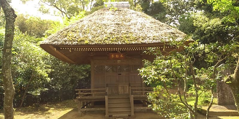 f:id:gajuwo:20190503232024j:plain f:id:gajuwo:20190503232024j:plain