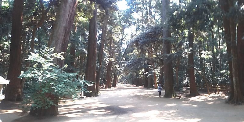 f:id:gajuwo:20190815233625j:plain f:id:gajuwo:20190815233625j:plain