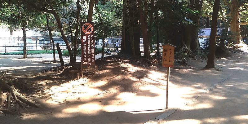 f:id:gajuwo:20190815233639j:plain f:id:gajuwo:20190815233639j:plain