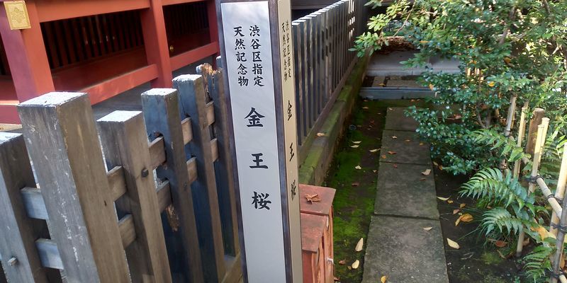 f:id:gajuwo:20191209235115j:plain