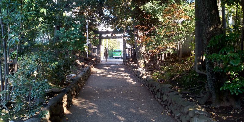 f:id:gajuwo:20191210000946j:plain