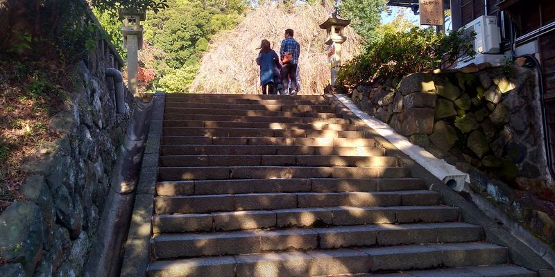 f:id:gajuwo:20191217215952j:plain