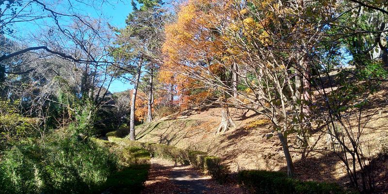 f:id:gajuwo:20191217221406j:plain f:id:gajuwo:20191217221406j:plain