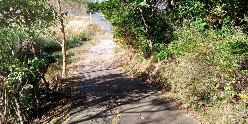 f:id:gajuwo:20191217222005j:plain f:id:gajuwo:20191217222005j:plain