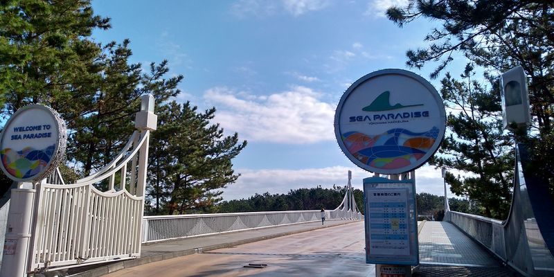 f:id:gajuwo:20200101211724j:plain