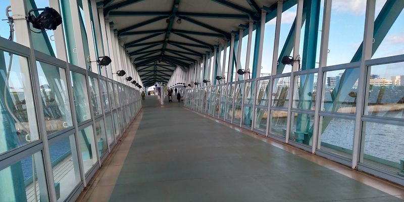 f:id:gajuwo:20200101212025j:plain