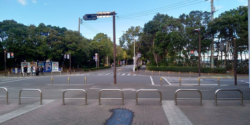 f:id:gajuwo:20200101212033j:plain