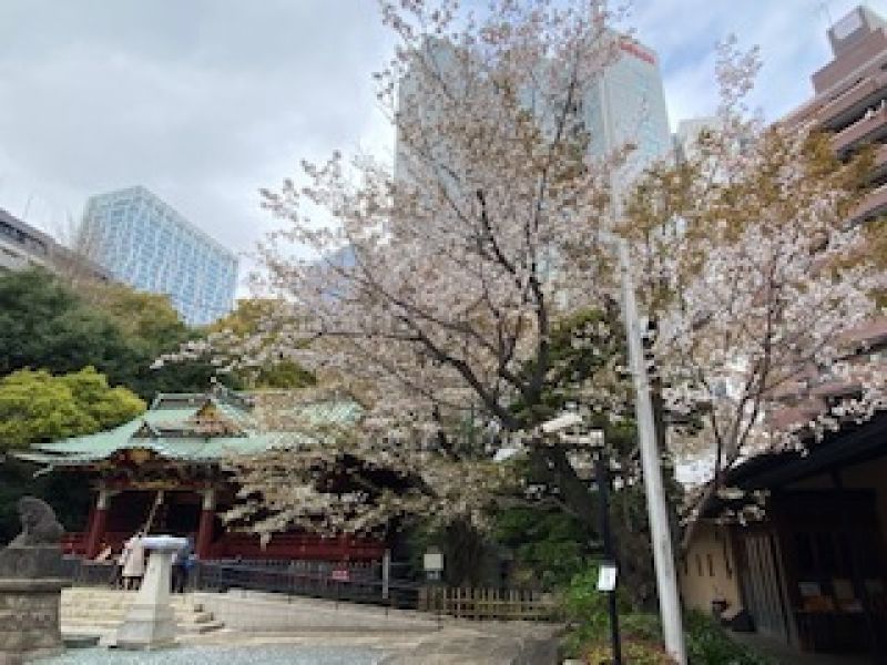 f:id:gajuwo:20200329115615j:plain