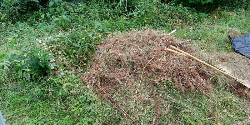 f:id:gajuwo:20200905225522j:plain