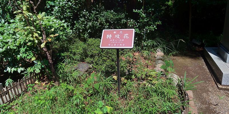 f:id:gajuwo:20200905232515j:plain