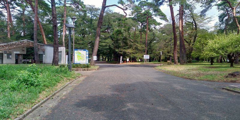 f:id:gajuwo:20200905232638j:plain