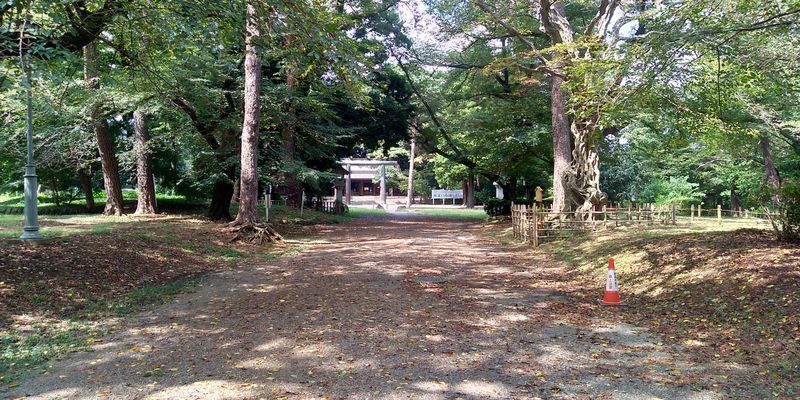 f:id:gajuwo:20200905232755j:plain