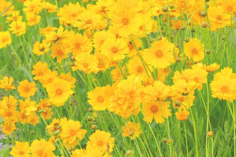 f:id:gajuwo:20200930232753j:plain