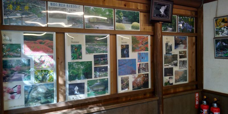 f:id:gajuwo:20201003175620j:plain