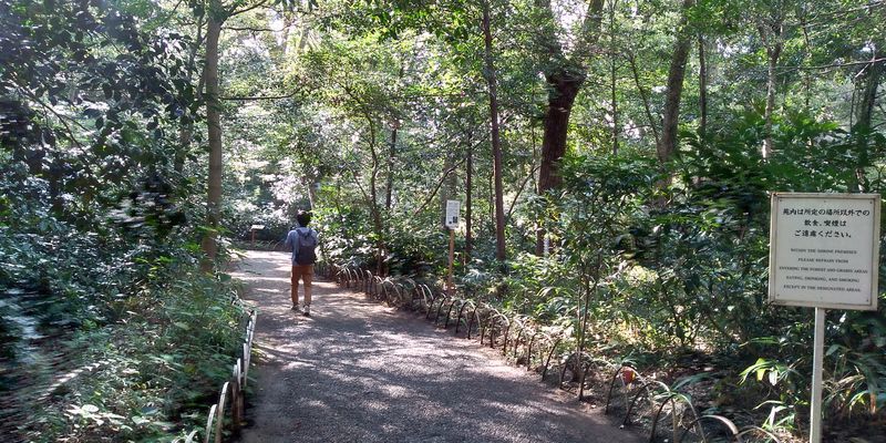 f:id:gajuwo:20201003182610j:plain