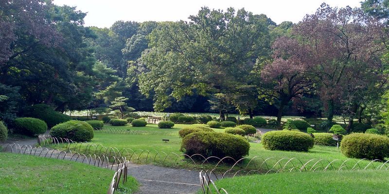 f:id:gajuwo:20201003182710j:plain