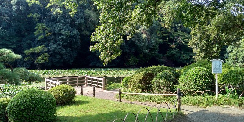 f:id:gajuwo:20201003182726j:plain