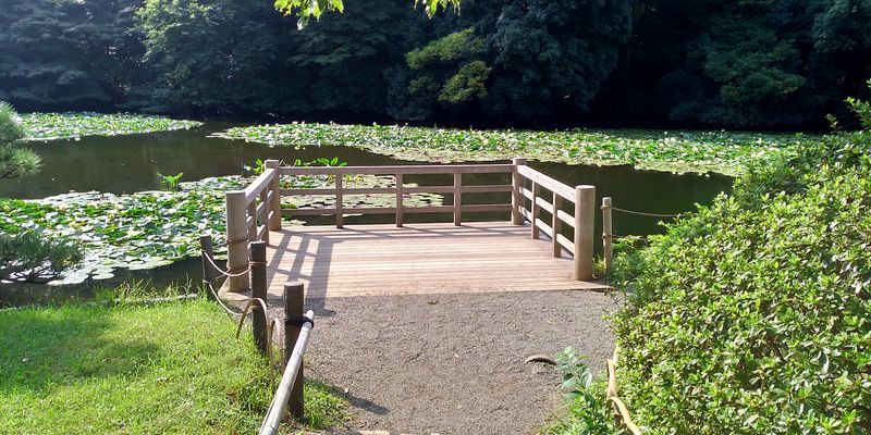 f:id:gajuwo:20201003182741j:plain