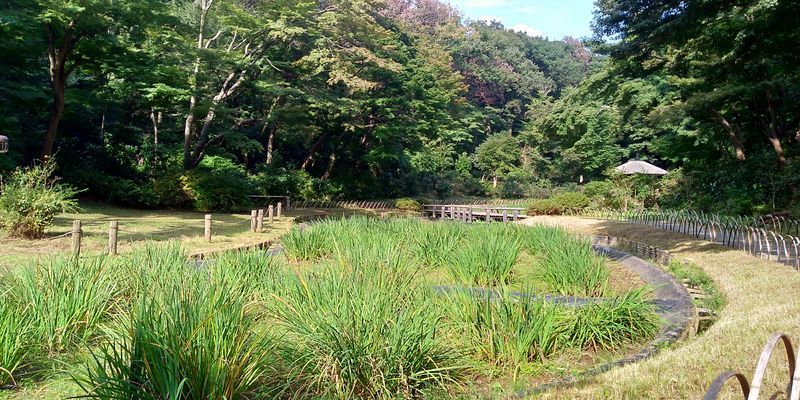 f:id:gajuwo:20201003182924j:plain