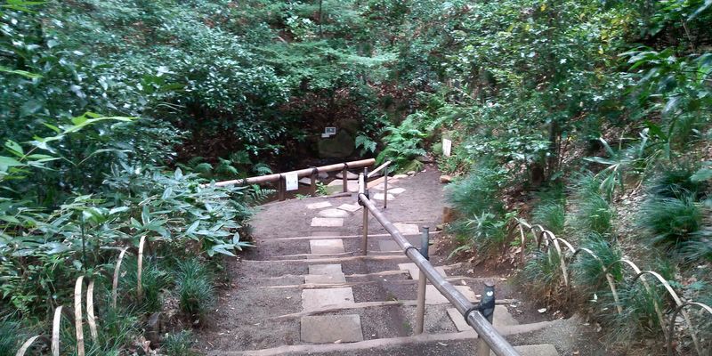 f:id:gajuwo:20201003183036j:plain