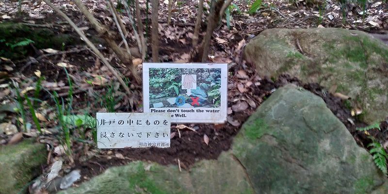 f:id:gajuwo:20201003183131j:plain