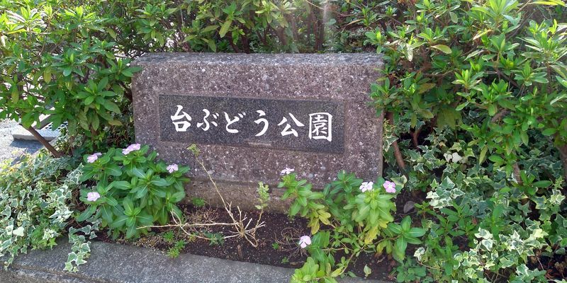 f:id:gajuwo:20201226165420j:plain