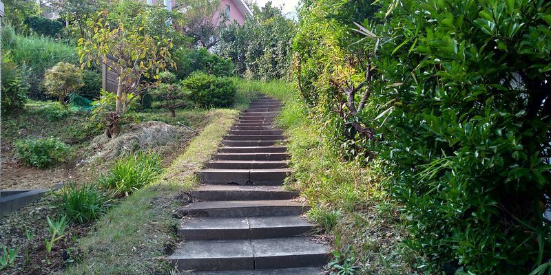 f:id:gajuwo:20201226165529j:plain