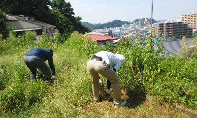 f:id:gajuwo:20201227171801j:plain