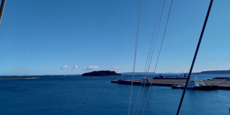 f:id:gajuwo:20210101184537j:plain