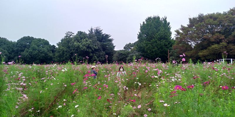 f:id:gajuwo:20211010174248j:plain