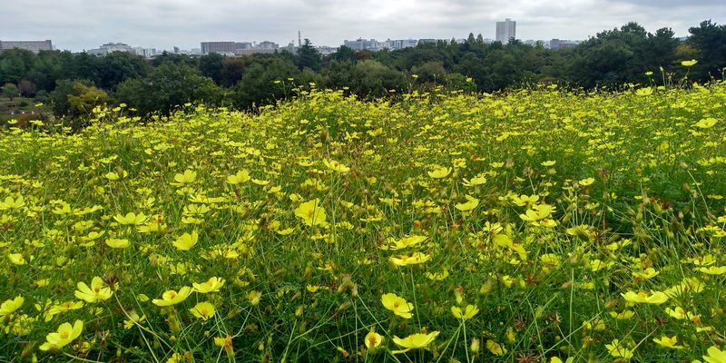 f:id:gajuwo:20211010174636j:plain