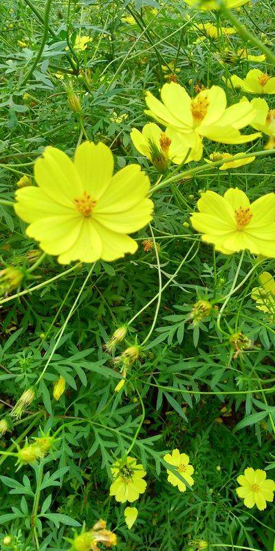 f:id:gajuwo:20211010174719j:plain