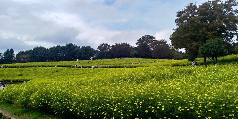 f:id:gajuwo:20211010174949j:plain