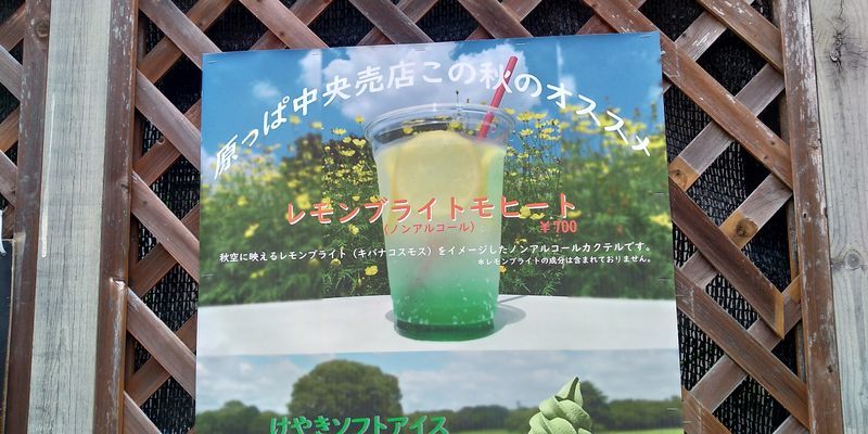 f:id:gajuwo:20211010175004j:plain