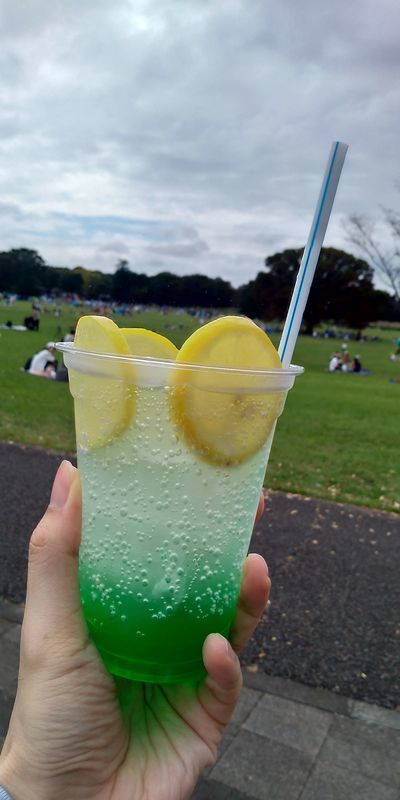 f:id:gajuwo:20211010175021j:plain