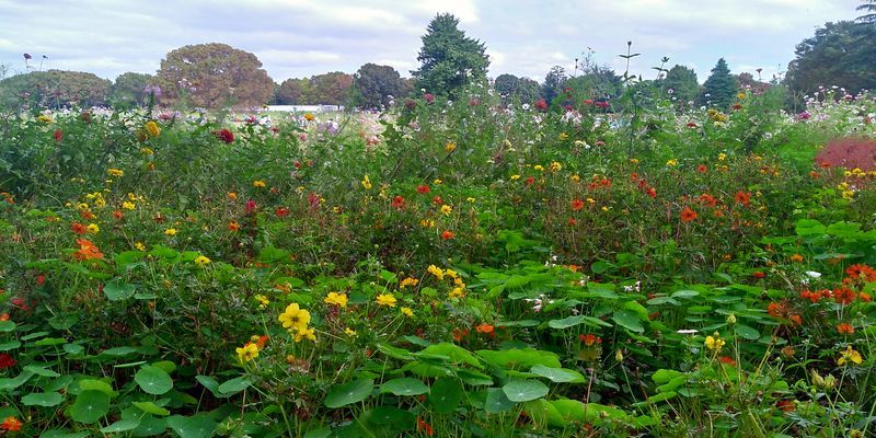 f:id:gajuwo:20211010175059j:plain