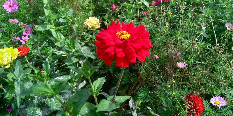 f:id:gajuwo:20211010175350j:plain