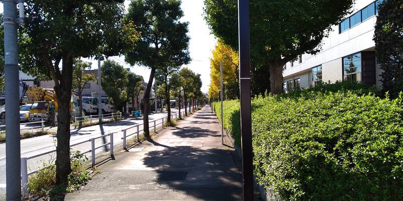 f:id:gajuwo:20211113230811j:plain