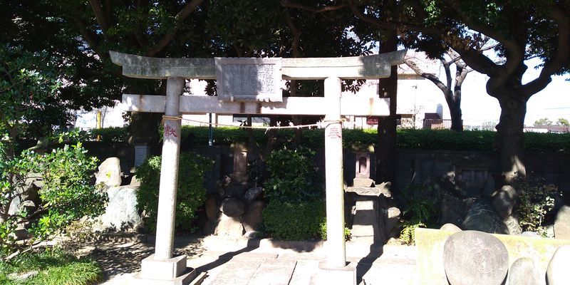 大しめ縄の鳥居を見に行く！【奥戸天祖神社】へ参拝 - おでかけ