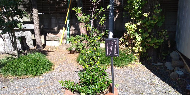 f:id:gajuwo:20211113231126j:plain